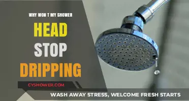 Why Your Shower Head Keeps Dripping: Causes and Fixes