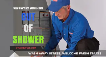 Why Your Shower Won't Dispense Hot Water: Troubleshooting Tips
