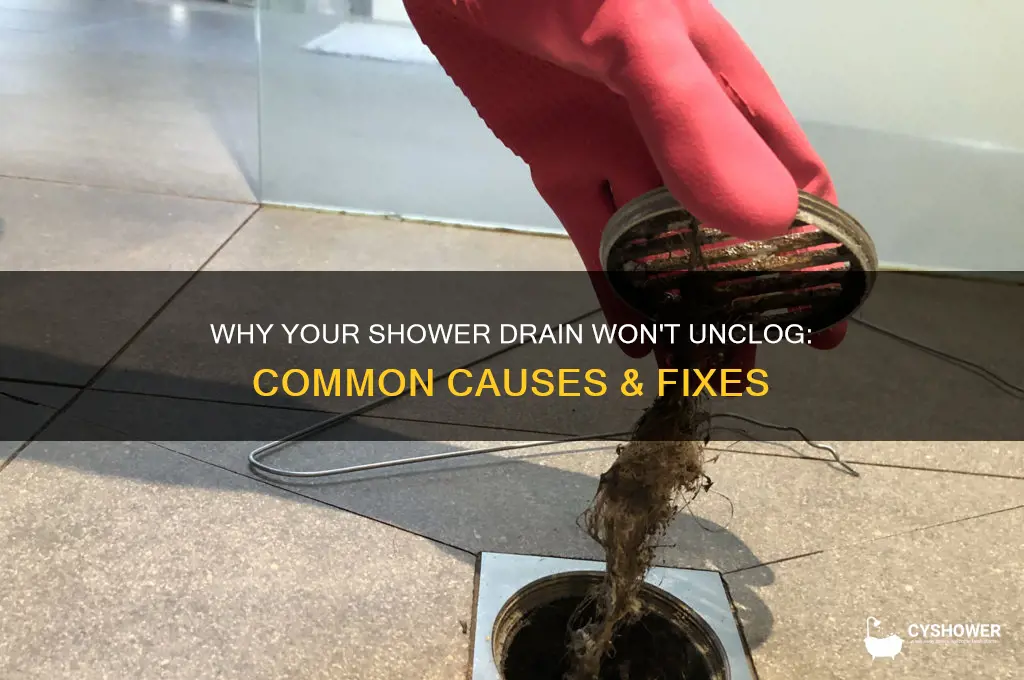 why won