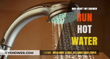 Troubleshooting Your Shower: Why Won't It Run Hot Water?