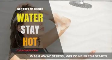 Troubleshooting Your Shower: Why the Water Won't Stay Hot