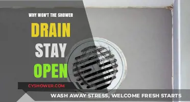 Why Your Shower Drain Won't Stay Open: Common Causes & Fixes