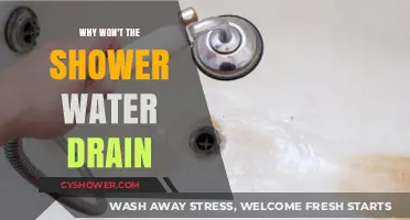 Why Your Shower Water Won’t Drain: Common Causes & Fixes