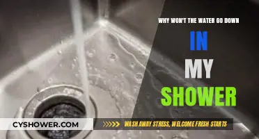 Shower Drain Clogged? Here’s Why Water Won’t Go Down