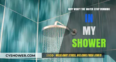 Shower Woes: Troubleshooting Why Your Water Won't Stop Running
