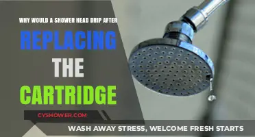 Why Your Shower Head Drips Post-Cartridge Replacement: Common Causes