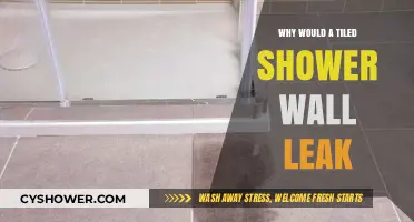 Why Tiled Shower Walls Leak: Common Causes and Prevention Tips