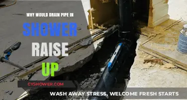 Why Shower Drain Pipes Rise: Causes and Quick Fixes Explained