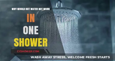 Why Your Shower's Hot Water Suddenly Stops Working: Common Causes
