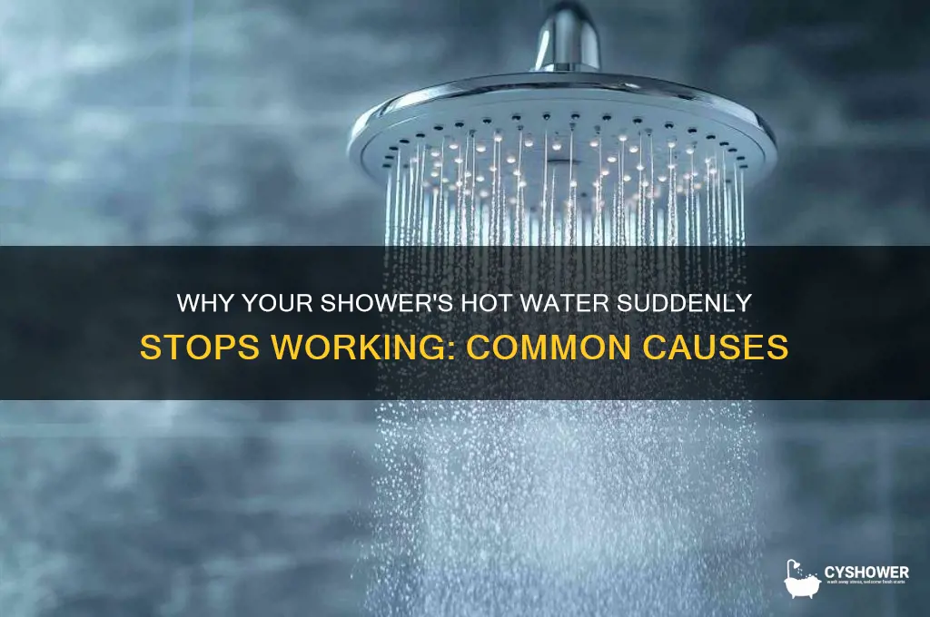 why would hot water not work in one shower