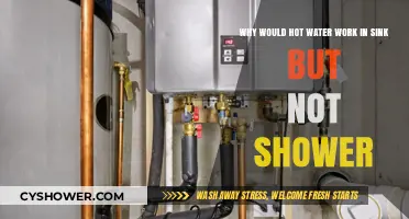 Hot Water in Sink, Not Shower: Troubleshooting Your Plumbing Woes