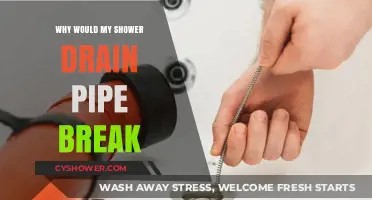 Why Shower Drain Pipes Break: Common Causes and Prevention Tips