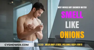 Why Does My Shower Water Smell Like Onions? Causes and Fixes
