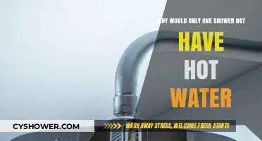 One Shower Without Hot Water: Common Causes and Fixes