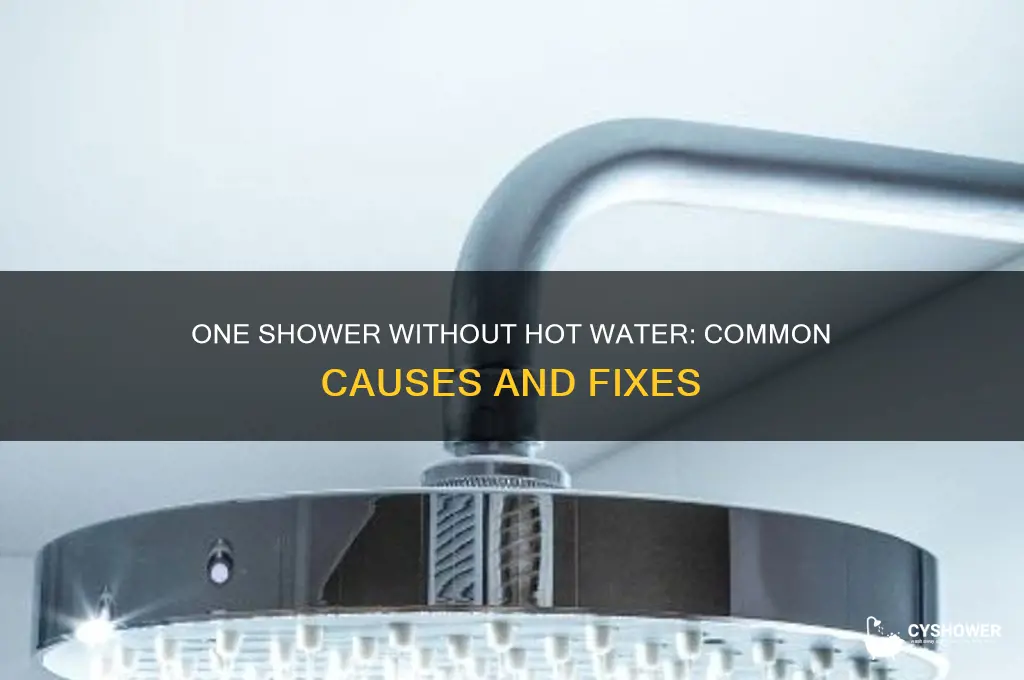 why would only one shower not have hot water