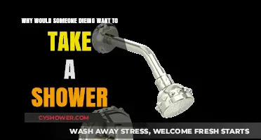 The Final Cleanse: Why Dying Individuals Seek Solace in Showers