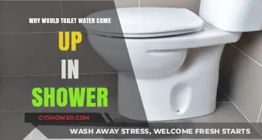 Why Toilet Water Backs Up in Your Shower: Causes and Fixes