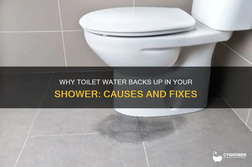 why would toilet water come up in shower