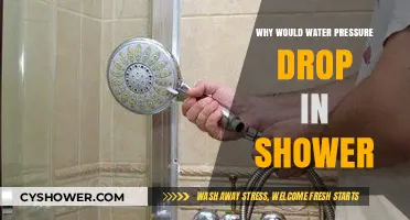 Why Your Shower's Water Pressure Suddenly Drops: Common Causes Explained