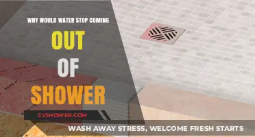 Why Your Shower Suddenly Stops: Common Causes and Quick Fixes