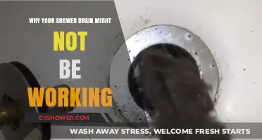 Clogged Shower Drain? Common Causes and Quick Fixes Explained