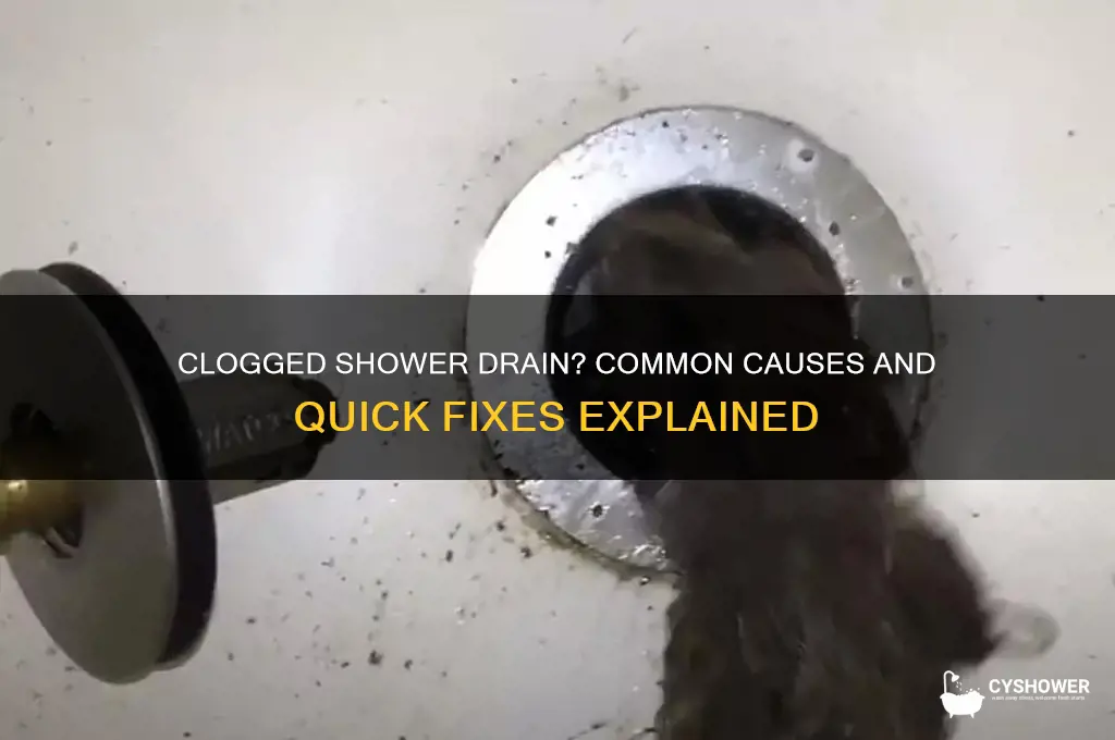 why your shower drain might not be working