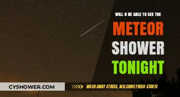 Tonight's Meteor Shower: Will Visibility Be Clear for Skywatchers?