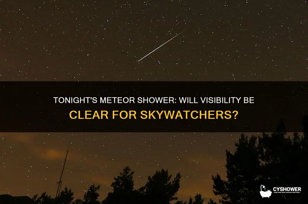 will 9 be able to see the meteor shower tonight