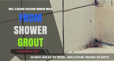Bleach Solution for Mold: Effective Shower Grout Cleaning Tips