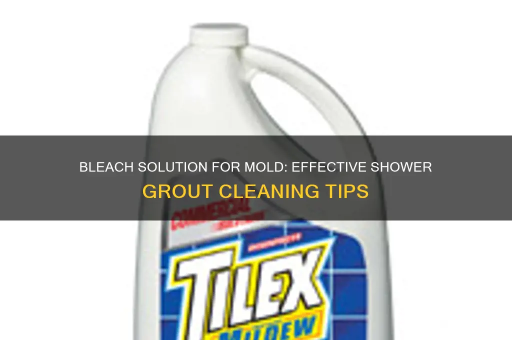 will a bleach solution remove mold from shower grout