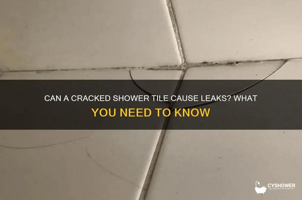 will a cracked shower tile leak