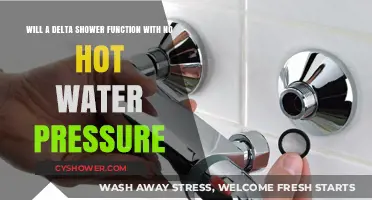 Troubleshooting Delta Shower: No Hot Water Pressure Solutions Explained