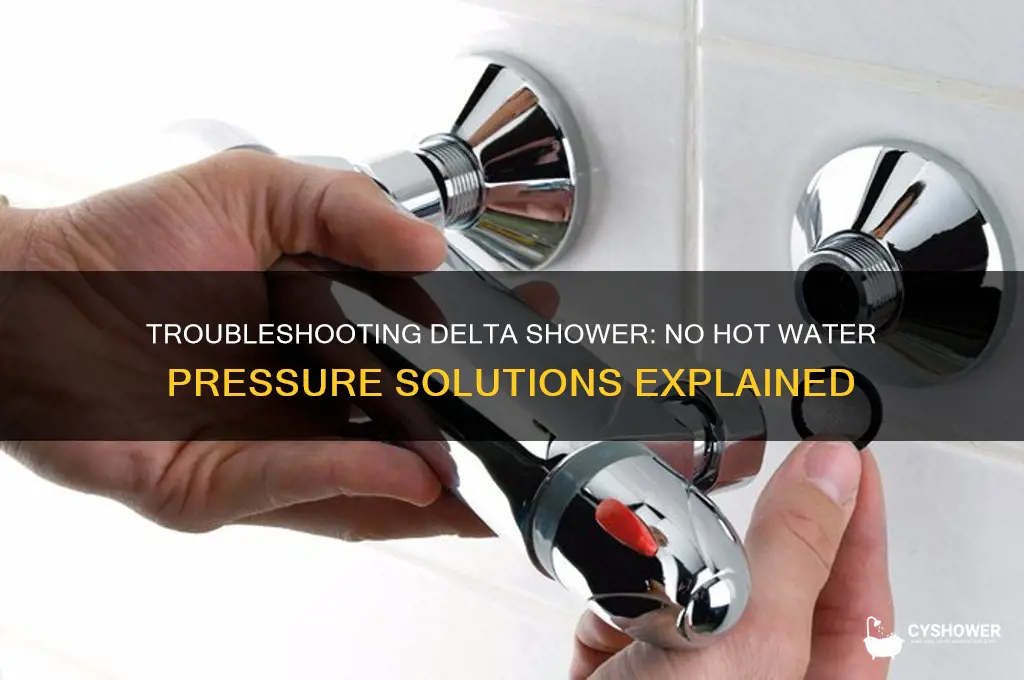 will a delta shower function with no hot water pressure