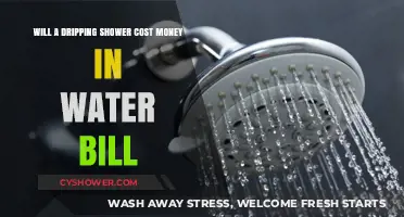 Dripping Shower: How Much Does It Add to Your Water Bill?