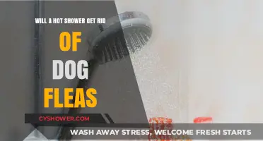 Hot Showers and Dog Fleas: Effective Solution or Myth?