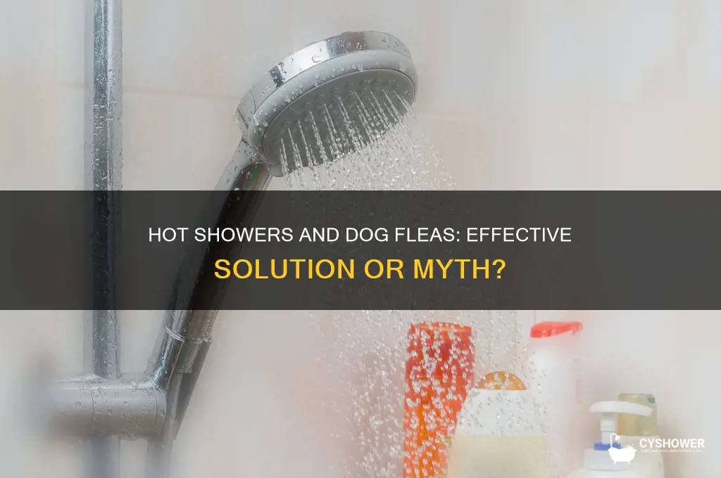 will a hot shower get rid of dog fleas