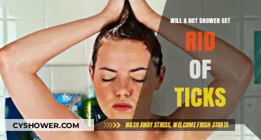Hot Showers and Ticks: Effective Removal or Myth?