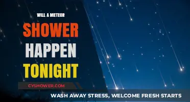 Meteor Shower Tonight: Will the Sky Light Up?