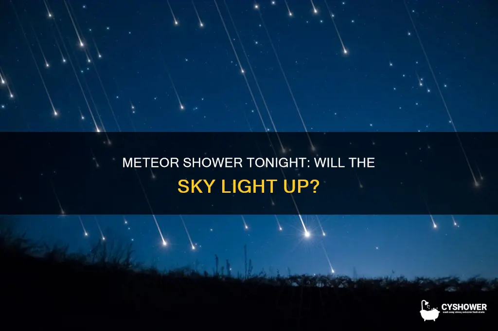 will a meteor shower happen tonight