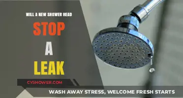 Can a New Shower Head Fix Your Persistent Leak Problem?