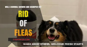 Can Regular Showers and Shampoo Effectively Eliminate Fleas from Your Pet?