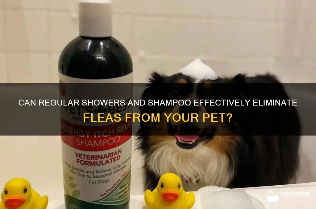 will a normal shower and shampoo get rid of fleas