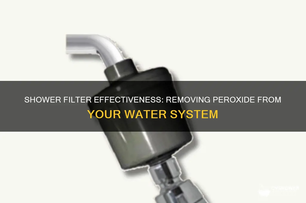 will a shower filter take out peroxide from water system