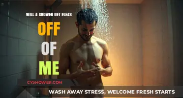 Showering to Remove Fleas: Does It Work? Expert Advice