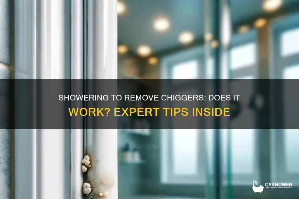 will a shower get rid of chiggers