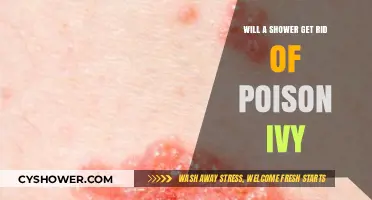 Can a Shower Wash Away Poison Ivy Rash? Find Out Here