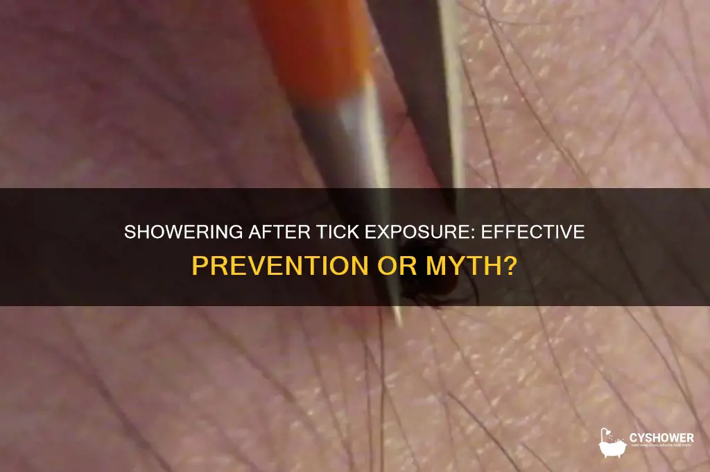 will a shower get rid of ticks