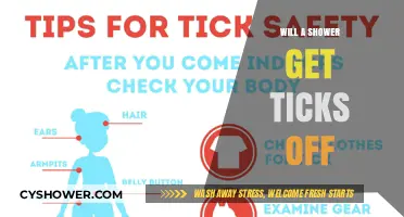 Showering to Remove Ticks: Effective Method or Myth?