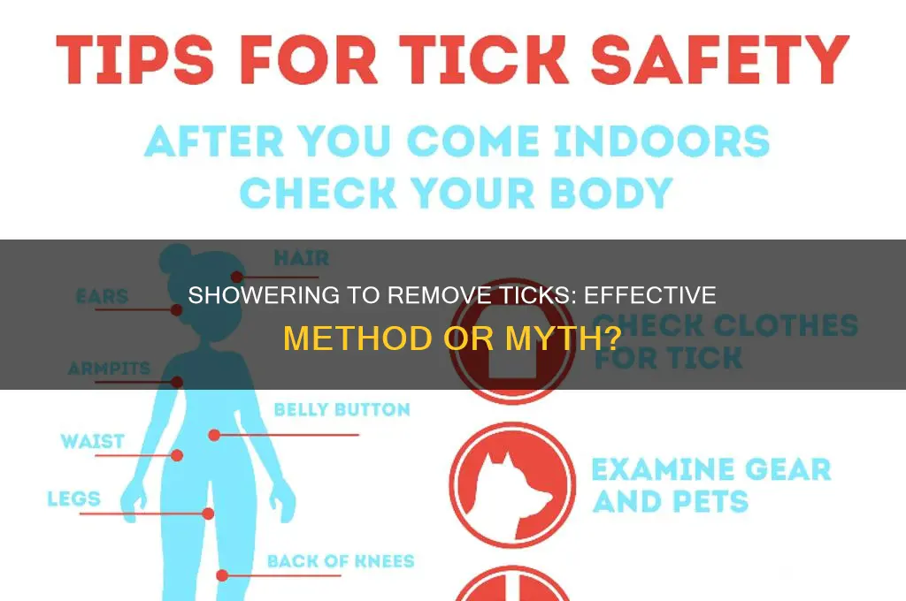 will a shower get ticks off