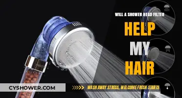 Shower Head Filters: The Secret to Healthier, Shinier Hair?